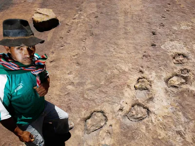 A Bolivian farmer stands next to dinosaur footprints. Bolivia is home to thousands of dinosaur tracks. 