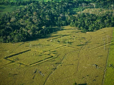 Researchers have only discovered a small fraction of the pre-Columbian earthworks in the Amazon rainforest, according to new research.
