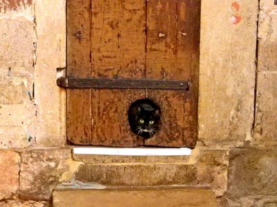 The cat door at the Exeter Cathedral in Devon County, England, is a strong contender for the oldest cat door on record.&nbsp;